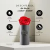 MyFlowers "Infinity" roos - een echte, geconserveerde Productafbeelding-voorbeeld 3