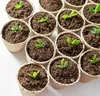 Zemina pro juky a dracény 5l - Biovita Náhled obrázku produktu 15