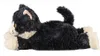 Warmies Wärmetier Katze liegend Produktbild-Vorschau 3