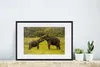 MuchoWow® MuchoWow® Gerahmtes Poster Elefant - Gras - Tiere Produktbild-Vorschau 4