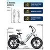 Onesport 20 Zoll Elektrofahrrad Pedelec,  48V/18Ah ，250W Produktbild-Vorschau 9