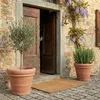 A terracotta pot with an olive tree and a rosemary plant flanking a wooden door, with a doormat in front. Produktbild-Vorschau