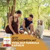 VITAL GLP Formula Kapseln | Dein zuverlässiger Partner | in Produktbild-Vorschau 5