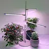 Pflanzenlampe LED Vollspektrum Höhenverstellbare Produktbild-Vorschau 9