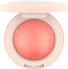 CATRICE Soft Glam Baked Blush, Koralowy, 030 - Cheeky Podgląd zdjęcia produktu 2