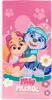 Strandtuch Paw Patrol Skye und Everest Produktbild-Vorschau 1