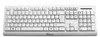MediaRange Tastatur USB 2.0 kabelgebunden QWERTZ   weiß Voir les images du produit 3