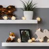 Two shelves are decorated with items including a plant, a stuffed fox, a framed photo, and wooden cutouts, with string lights draped around them. Produktbild-Vorschau