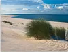 ARTland Glasbild Gras am Strand Größe: 80x60 cm Produktbild-Vorschau 1