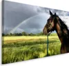 Fabelhafte Canvas LEINWAND BILDER 40x30 cm XXL Kunstdruck Produktbild-Vorschau 1