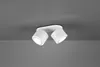 A white ceiling light with two adjustable spotlights is mounted on a gray ceiling. Anteprima dell’immagine prodotto