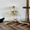 Halloween Skelett – Realistische Wetterfestes Knochengerüst Produktbild-Vorschau 4