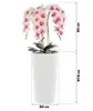 Künstliche Orchidee Cremerosa Kaskaden Blumenstrauß im Topf Produktbild-Vorschau 3