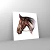 Bilder auf glas - Pferd Abstraktion - 50x50cm - Glasbilder Produktbild-Vorschau 4