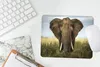 MuchoWow® Mauspad Mousepad Elefant - Natur - Gras - Tiere - Produktbild-Vorschau 5
