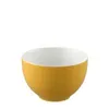 Thomas 10850-408502-15456, Porcelán, 0,45 l Náhled obrázku produktu 6