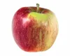 Apfelbaum 'Roter Boskoop', altezza 100-120 cm – Malus Anteprima dell’immagine prodotto 1