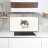 Coloray Küchenrückwand 120x60 Spritzschutz aus Glas - Produktbild-Vorschau 3