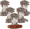 5 x ALIZE Puffy 530 Beige mit Label Produktbild-Vorschau 1