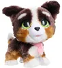 Just Play furReal Walk-A-Lots Bernedoodle, interaktives Produktbild-Vorschau 5