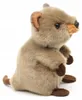 Uni-Toys Pluche Quokka EWQ18125 - Uni-Toys: Een levensecht, Productafbeelding-voorbeeld 3