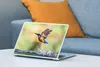 MuchoWow® Laptop Aufkleber Sticker Cover Eisvogel - Wasser Produktbild-Vorschau 4