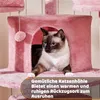 A Siamese cat is sitting inside a pink cat tree cave. Produktbild-Vorschau