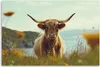 Leinwandbild Highland-Kuh auf einer Wiese 120x80 Feeby Grün Produktbild-Vorschau 3