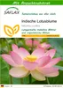 SAFLAX - Wasserpflanzen - Indische Lotusblume - 8 Samen - Produktbild-Vorschau 1