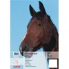 Herlitz 10416634, Mehrfarbig, A3, 25 Blätter, 100 g/m², Produktbild-Vorschau 3