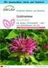 SAFLAX Geschenk Set - Goldmelisse - Monarda didyma - 20 Produktbild-Vorschau 1