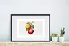 MuchoWow® Gerahmtes Poster Birne - Apfel - Obst 60x40 cm - Produktbild-Vorschau 4