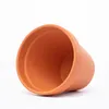 Spang, hlinený kvetináč 6/7 cm, terakota Náhľad obrázku produktu 8