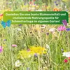 Greenyp Schmetterlingstreff Blumenmischung I 100g für 100m² Produktbild-Vorschau 6
