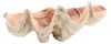 Light & Living Dekorationsobjekt Muschell Shell Taupe Produktbild-Vorschau 1