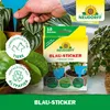 Neudorff Blautafeln für Thripse und fliegende Schädlinge, Produktbild-Vorschau 7