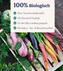 deNatura PflanzenWunder – Natürlich starke Pflanzen mit Produktbild-Vorschau 5