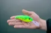 Black Cat Cranker 16cm 50g - Wobbler, Farbe:Firetiger Produktbild-Vorschau 2