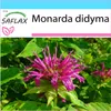 SAFLAX Dárková sada - včelí balzám - Monarda didyma - 20 Náhled obrázku produktu 10