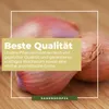 Kiepenkerl  Schalotten Biztro Allium cepa 10 Pflanzen Produktbild-Vorschau 5