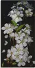 ARTland Leinwandbild Baumblüte Größe: 30x60 cm Produktbild-Vorschau 1