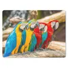 MuchoWow® Mauspad Mousepad Vögel - Papagei - Tropisch - Produktbild-Vorschau 1