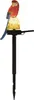 HI LED Solar Papagei Gartenstecker mit einer warmweißen LED Produktbild-Vorschau 1