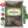 OraGarden Terriccio Premium per Monstera 3 litri Anteprima dell’immagine prodotto 1