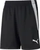 Puma Teamliga Trainingsshorts Kinder - Schwarz Produktbild-Vorschau 1