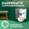 Air Wick Duftstecker Starter-Set Paket inklusive 1 Geräte & Produktbild-Vorschau 7