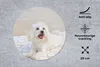 MuchoWow® Mauspad Mousepad Ein Malteser Hund liegt auf Produktbild-Vorschau 2