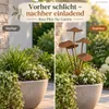 Topfstecker 5er Pilz-Gruppe, Edelrostoptik 3D, klein Produktbild-Vorschau 12