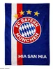 FC Bayern München Decke 150x200 cm Fleece Kuscheldecke FCB Produktbild-Vorschau 1