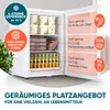 Stillstern Mini Gefrierschrank klein & leise 42L, Produktbild-Vorschau 2